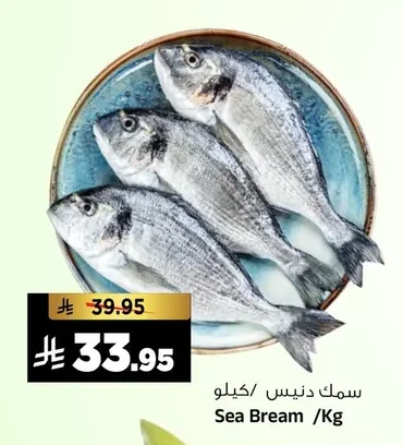 سمك دينس