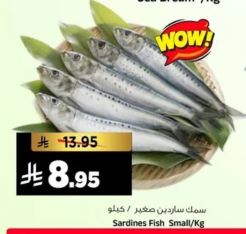 سمك ساردين صغير