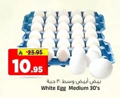 White Egg Medium