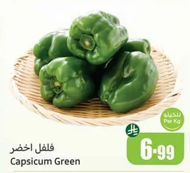 فلفل اخضر