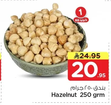 بندق