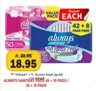 Olivoz Sanitary Pads