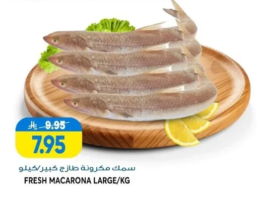 FRESH MACARONA LARGE/KG