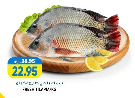 FRESH TILAPIA/KG