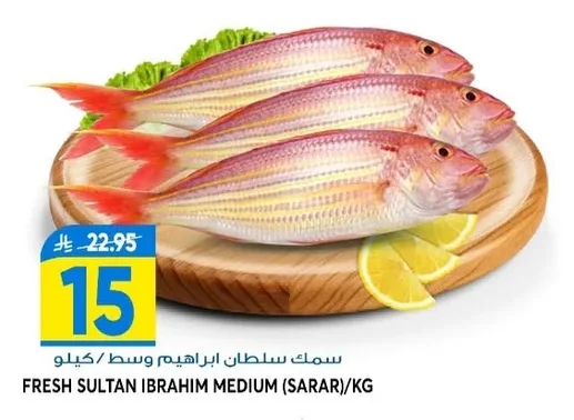FRESH SULTAN IBRAHIM MEDIUM (SARAR)/KG