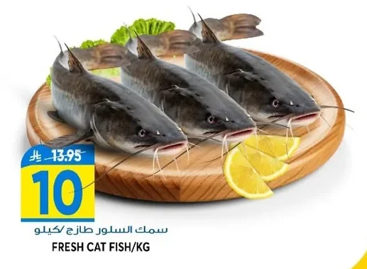 FRESH CAT FISH/KG