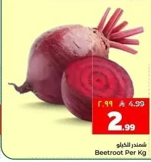 شمندر