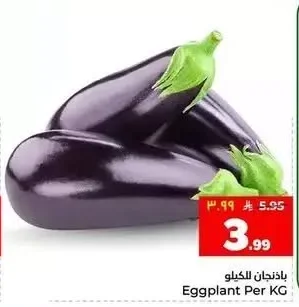 باذنجان