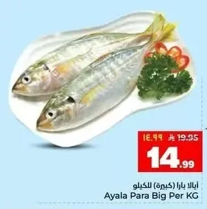 Ayala Para Big Per KG