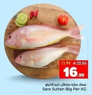 Sara Sultan Big Per KG