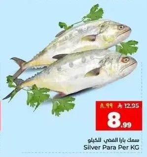 سمك بارا الفضي للكيلو