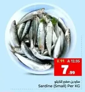 سردين صغير للكيلو