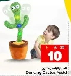 الصبار الراقص منوع