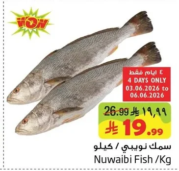 سمك نويبي