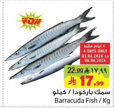سمك باركودا