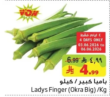 باميا كبير