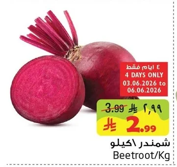 شمندر