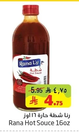 رنا شطة