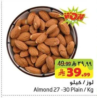 لوز