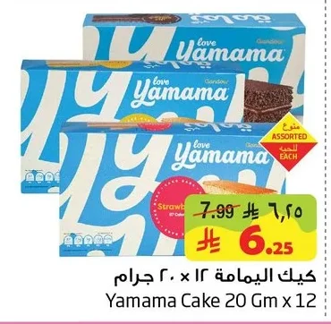 Mini Cakes