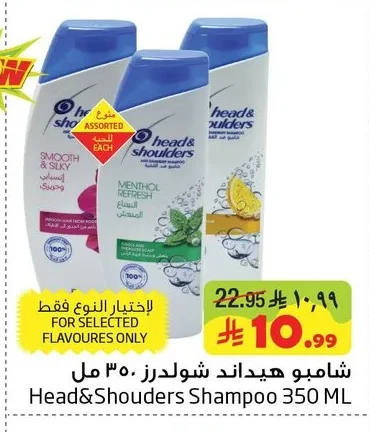 شامبو هيد اند شولدرز