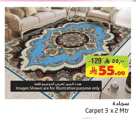 Carpet 3 X 2 Mtr