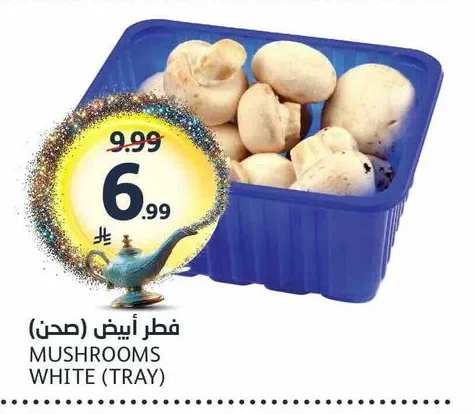 فطر أبيض