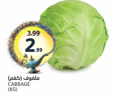 ملفوف