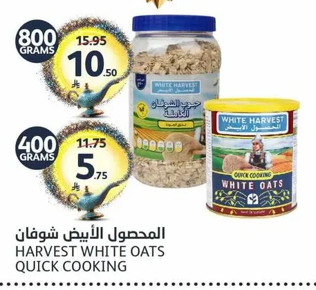 المحصول الأبيض شوفان
