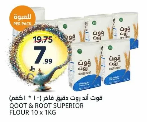 قوت أند روت دقيق فاخر (١٠ * ١ كجم)
