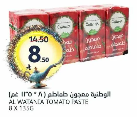 الوطنية معجون طماطم