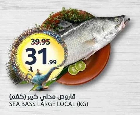 قاروص محلي كبير