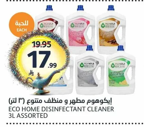 إيكوهوم مطهر و منظف متنوع (۳ لتر)