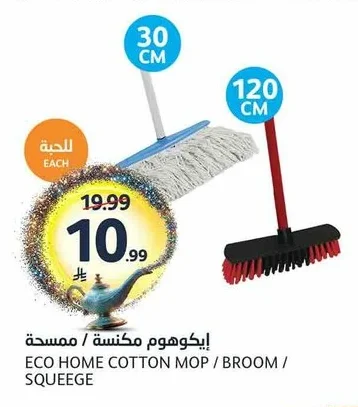 إيكوهوم مكنسة / ممسحة