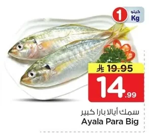 Ayala Para Big