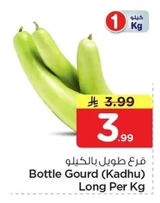 Bottle Gourd (Kadhu) Long Per Kg