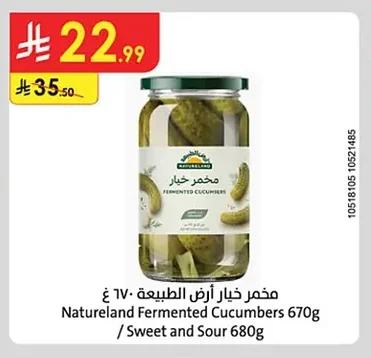 مخمر خيار أرض الطبيعة