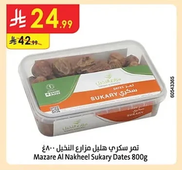 تمر سكري هليل مزرعة النخيل