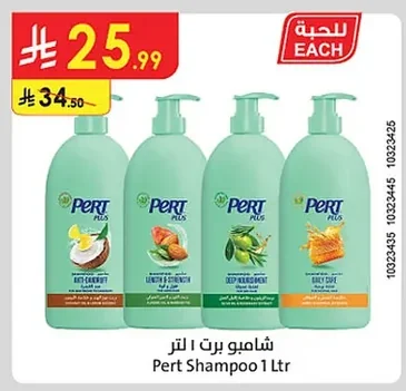 شامبو برت
