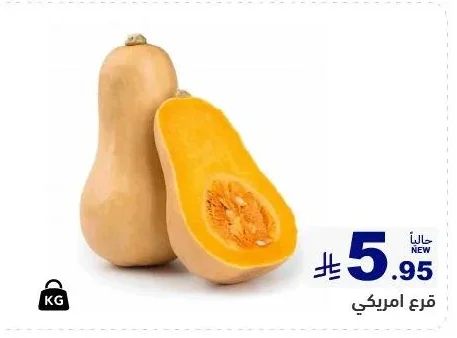 قرع امريكي