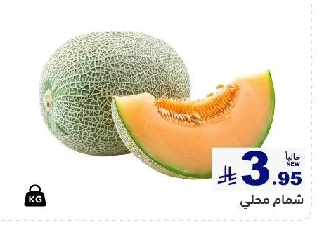 شمام محلي