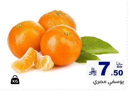 يوسفي مصري
