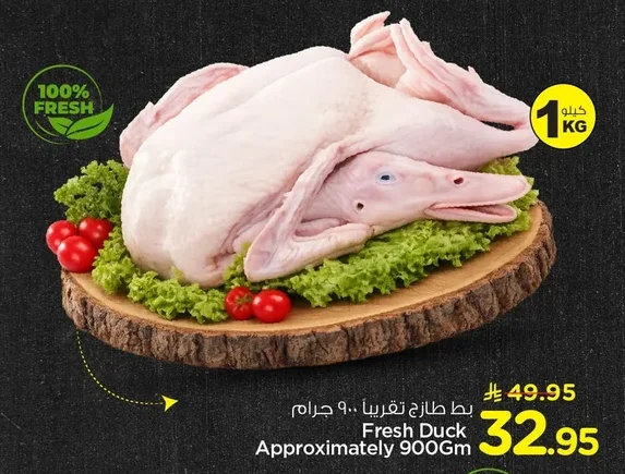 بط طازج تقريبا