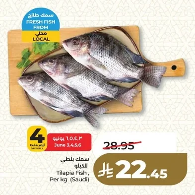 سمك بلطي