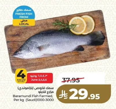 سمك قاروص (باراموندي)