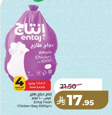 إنتاج دجاج طازج