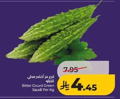 قرع مر أخضر محلي