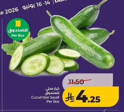 Cucumber Saudi