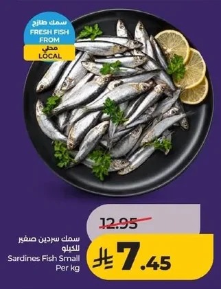 Sardines Fish Small