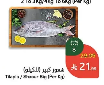 شعور كبير